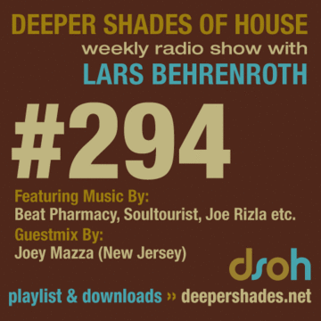 2009-05-19 - Lars Behrenroth, Joey Mazza - Deeper Shades Of House 294.gif
