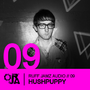 Thumbnail for File:2009-11-22 - Hushpuppy - Ruff Jamz Audio Podcast (RJA09).png