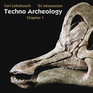 2010-02-13 - Cari Lekebusch - Techno Archeology Chapter 1 (Pilot).jpg