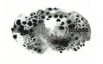 2010-04-23 - Obtane - Modyfier Process Part 202.jpg
