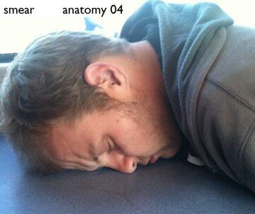 2010-11-04 - Smear - anatomy 04.jpg
