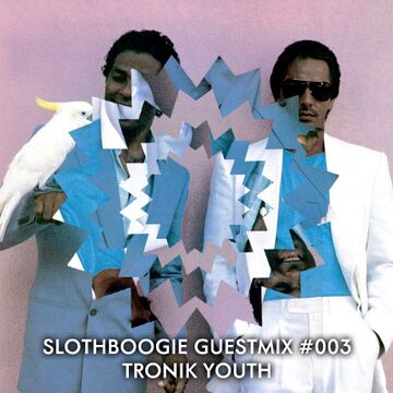 2010-11-19 - Tronik Youth - SlothBoogie Guestmix 003.jpg