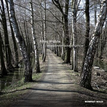 2011-01-17 - Robag Wruhme - Wuppdeckmischmampflow -1.jpg