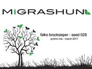 2011-03-03 - Falko Brocksieper - Seed 028 Promo Mix