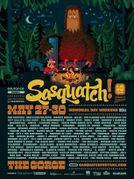 2011-05-30 - Major Lazer @ Sasquatch Music Festival, Washi …