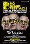 2011-06-04 - Big Beach Festival.jpg