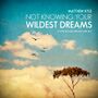 2011-09-08 - Matthew Kyle - Not Knowing Your Wildest Dreams (In The Woods Promo Mix 001).jpg