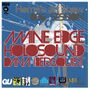 Thumbnail for File:2011-09 - Amine Edge, Holosound b2b Dana Bergquist - Home's Art Show 036.jpg
