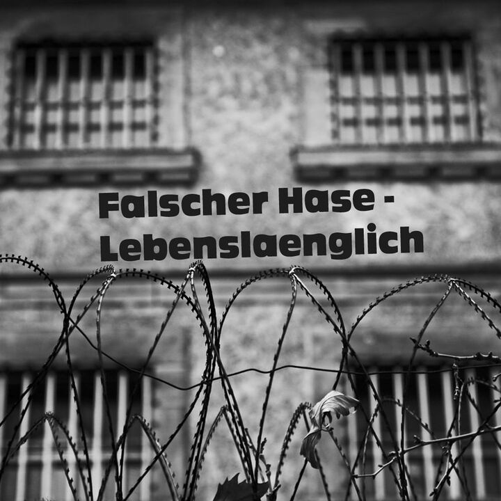 File:2011-12-31 - Falscher Hase - Lebenslänglich (December Promo Mix).jpg