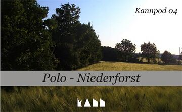 2012-06-07 - Polo - Niederforst (Kann Pod 04).jpg