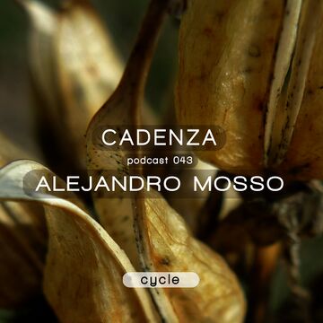 2012-12-20 - Alejandro Mosso (Live PA) - Cadenza Podcast 043 - Cycle.jpg