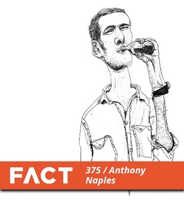2013-03-25 - Anthony Naples - FACT Mix 375.jpg