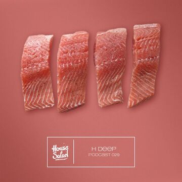 2013-05 - H Deep - House Salad Podcast 029.jpg