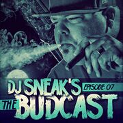 2013-05-04 - DJ Sneak @ Sub Club, Glasgow (The Budcast 07)