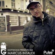 2013-06-05 - Marcus Intalex - Gottwood 054