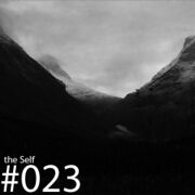 2013-08-07 - The Self - deathmetaldiscoclub 023