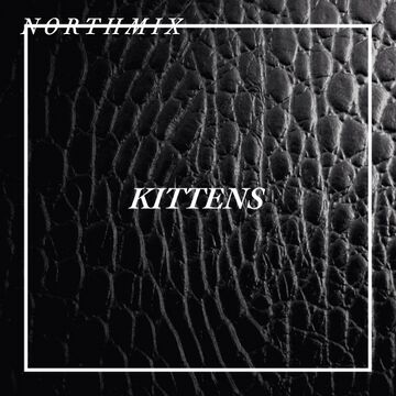 2014-04-30 - Kittens - Northmix.jpg