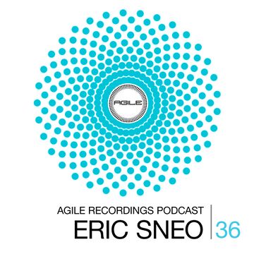 2014-05-15 - Eric Sneo - Agile Recordings Podcast 036.jpg