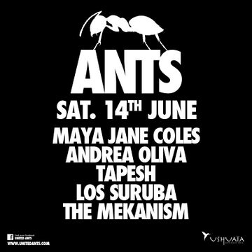 2014-06-14 - Ants Opening Party.jpg