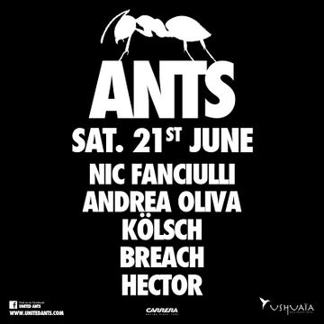 2014-06-21 - Ants, Ushuaia.jpg