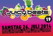 2014-07-26 - Larse @ Juicy Beats, Dortmund