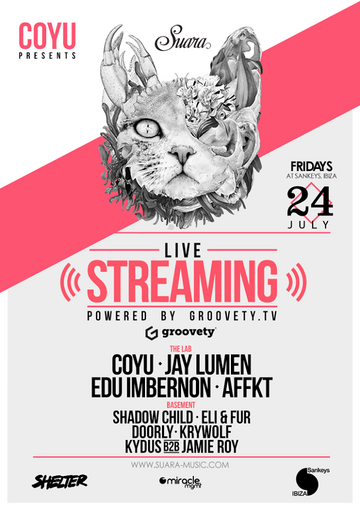 2015-07-24 - Suara, Sankeys.png