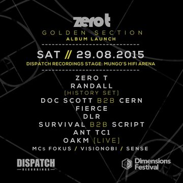 2015-08-29 - Dispatch, Dimensions Festival.jpg