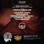 2016-01-15 - Stereo, Wah Wah Beach Bar, The BPM Festival.jpg