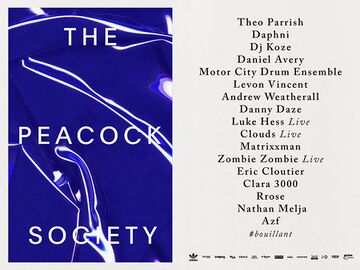 2016-01-30 - The Peacock Society Festival.jpg