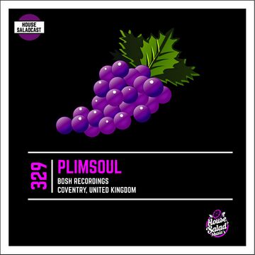 2016-03-24 - Plimsoul - House Saladcast 329.jpg