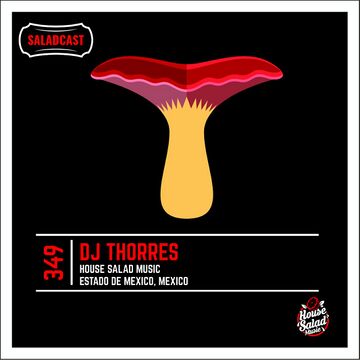 2016-05-05 - DJ Thorres - House Saladcast 349.jpg