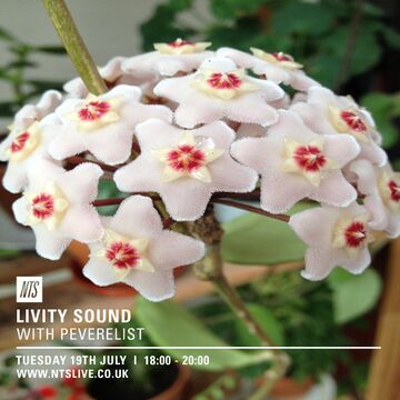 2016-07-19 - Peverelist - Livity Sound, NTS Radio.jpg