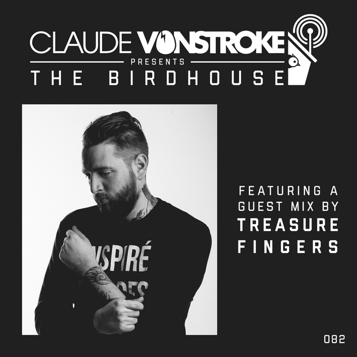 File:2017-04-06 - Claude VonStroke, Treasure Fingers - The Birdhouse 082.png