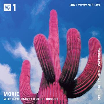 2017-05-10 - Moxie, Dave Harvey - NTS Radio.jpg