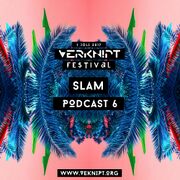 2017-05-23 - Slam - Verknipt Festival 2017 Podcast 6