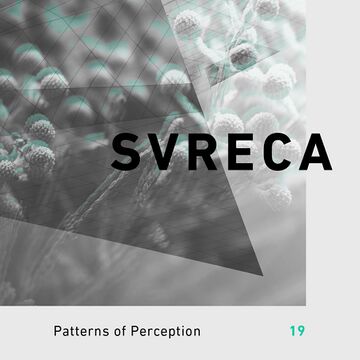 2017-06-28 - Svreca - Patterns Of Perception 19.jpg