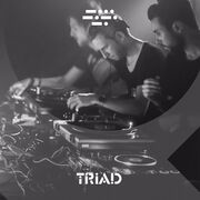 2017-07-03 - Triad - DGTL Podcast 54