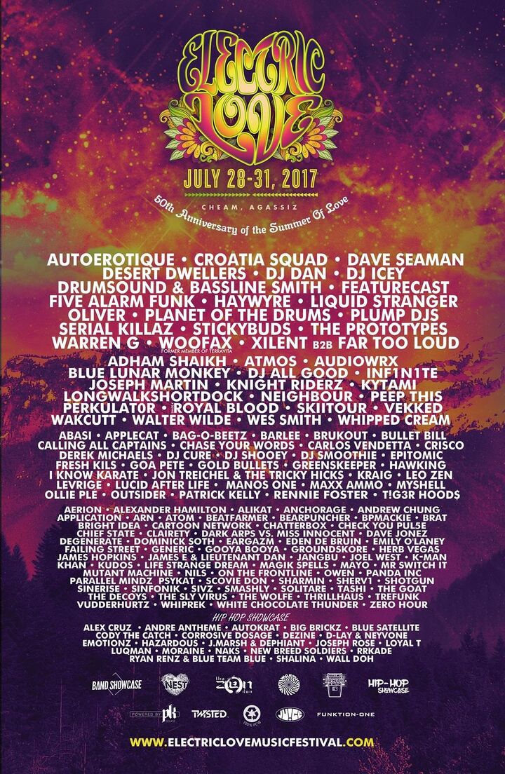 File:2017-07 - Electric Love.jpg