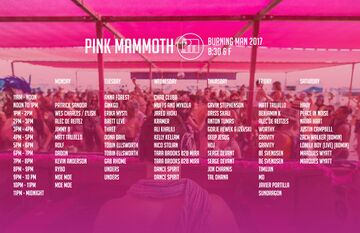 2017 - Pink Mammoth, Burning Man.jpg