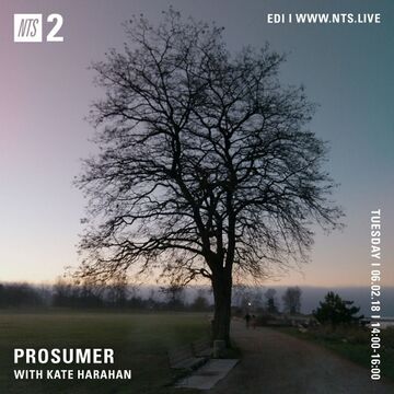 2018-02-06 - Prosumer, Kate Harahan - NTS Radio.jpg