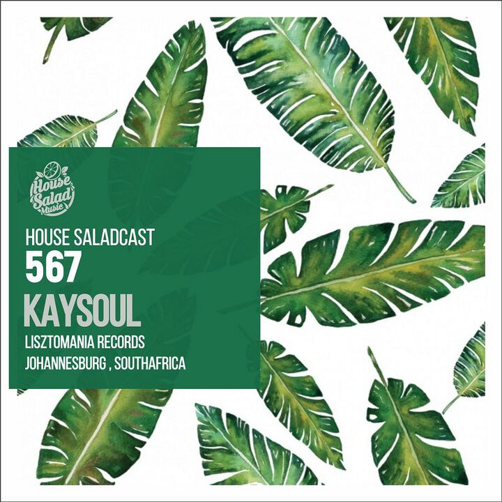 File:2018-03-11 - KaySoul - House Saladcast 567.jpg