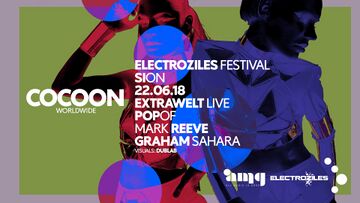 2018-06-22 - Cocoon, Electroziles.jpg