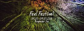 Thumbnail for File:2018-07-0X - Feel Festival.jpg