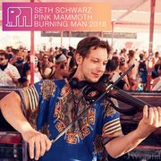 2018-08-26 - Seth Schwarz (Live PA) @ Pink Mammoth, Burnin …
