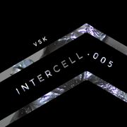 2018-08-27 - VSK - Intercell.005