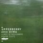 Thumbnail for File:2018-11-12 - Diwa - Upperberry Vibrations, Rinse FM France.jpg
