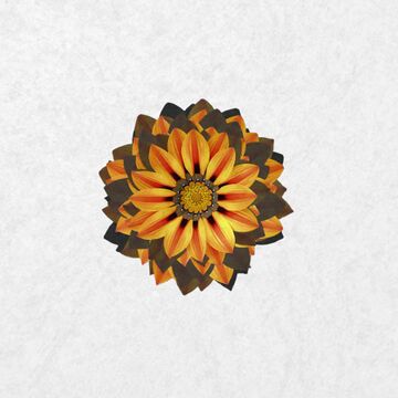 2018-12-17 - Jonathan Kaspar - Select Cuts 154.jpg