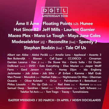 2018 - DGTL Festival.jpg