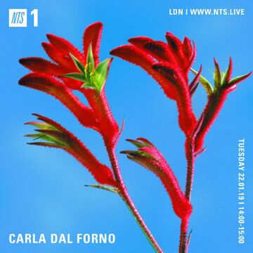 2019-01-22 - Carla Dal Forno - NTS Radio.jpg