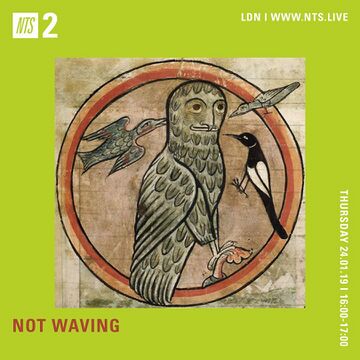2019-01-24 - Not Waving - NTS Radio.jpg